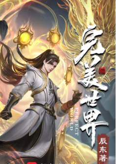 完美世界